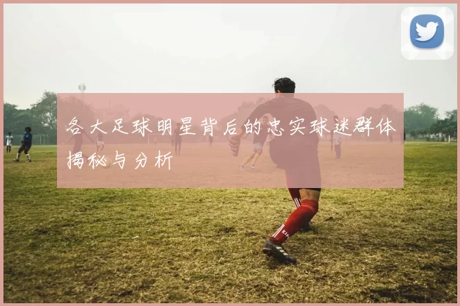各大足球明星背后的忠实球迷群体揭秘与分析