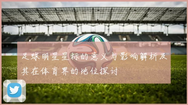足球明星星标的意义与影响解析及其在体育界的地位探讨