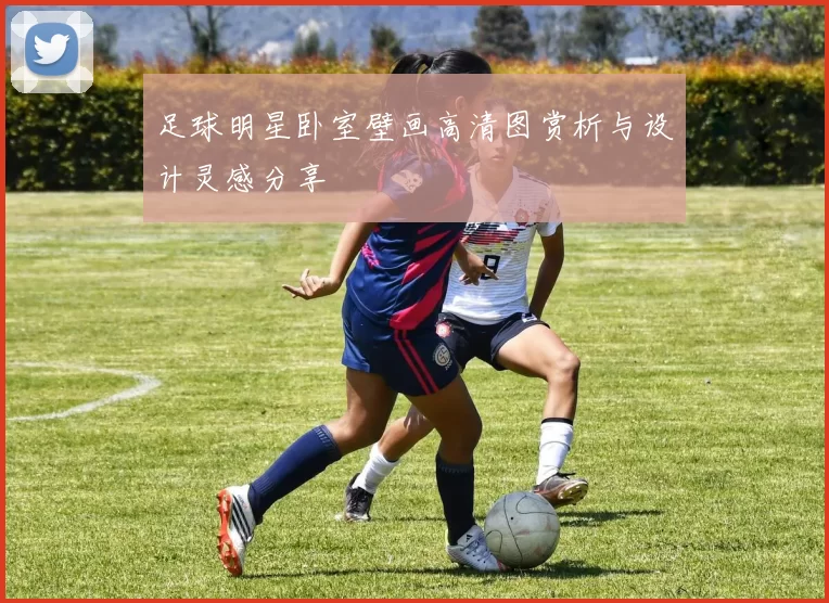 足球明星卧室壁画高清图赏析与设计灵感分享