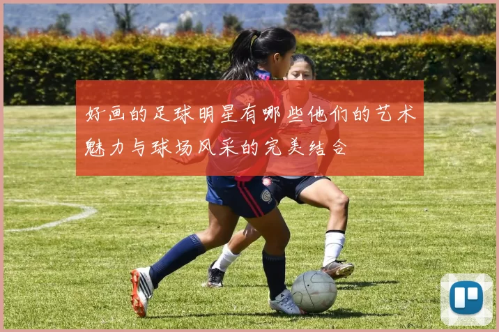 好画的足球明星有哪些他们的艺术魅力与球场风采的完美结合