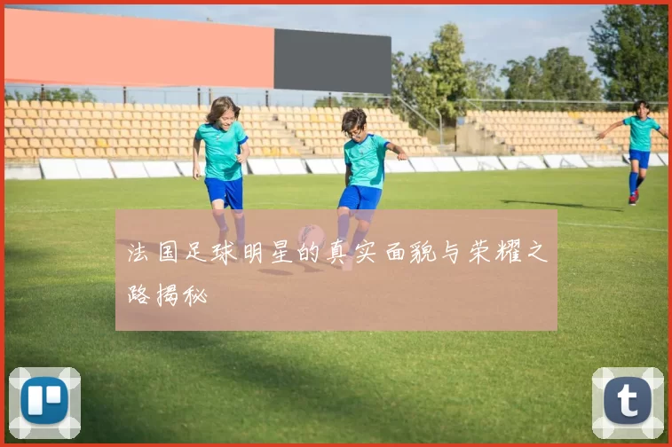 法国足球明星的真实面貌与荣耀之路揭秘