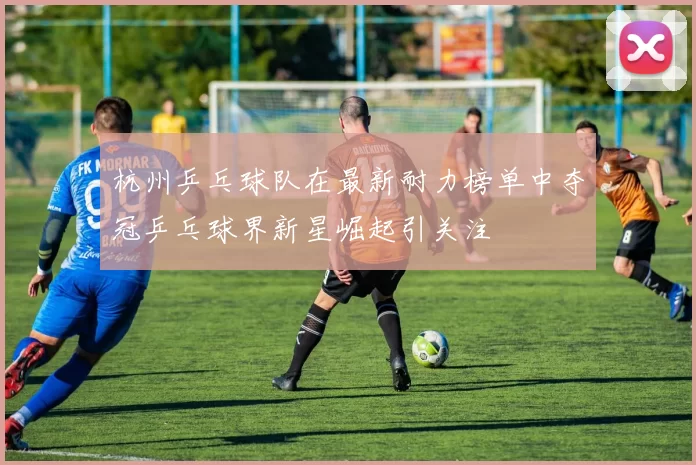 杭州乒乓球队在最新耐力榜单中夺冠乒乓球界新星崛起引关注