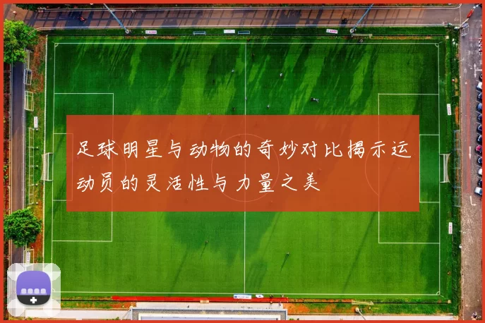 足球明星与动物的奇妙对比揭示运动员的灵活性与力量之美
