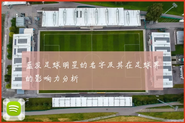 蓝发足球明星的名字及其在足球界的影响力分析