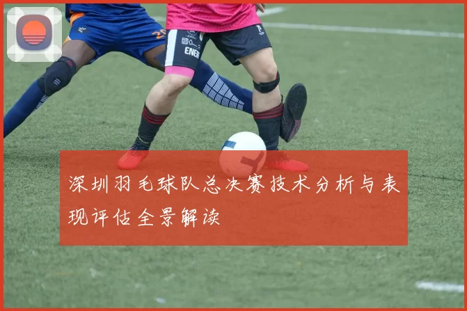 深圳羽毛球队总决赛技术分析与表现评估全景解读