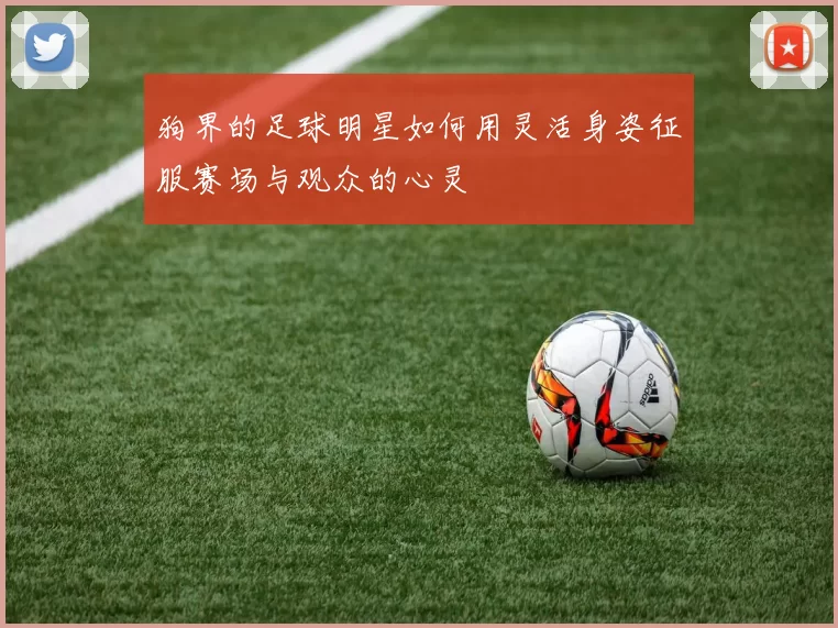 狗界的足球明星如何用灵活身姿征服赛场与观众的心灵