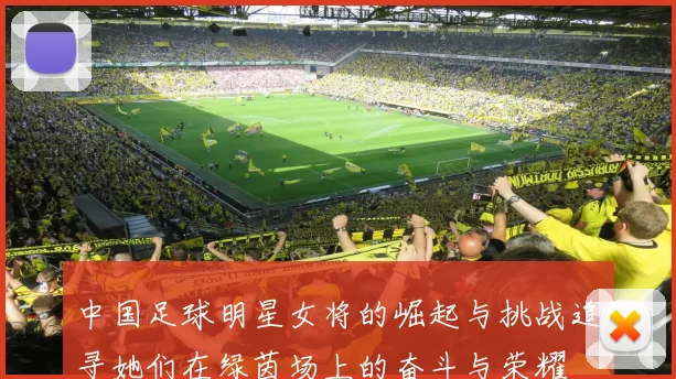 中国足球明星女将的崛起与挑战追寻她们在绿茵场上的奋斗与荣耀