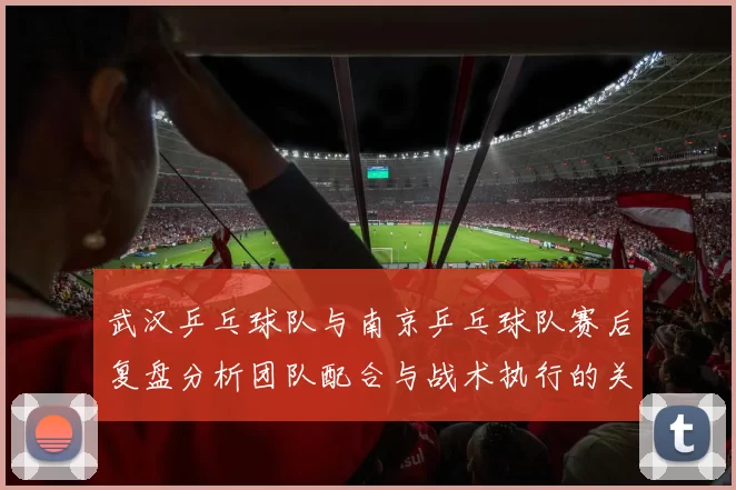 武汉乒乓球队与南京乒乓球队赛后复盘分析团队配合与战术执行的关键要素
