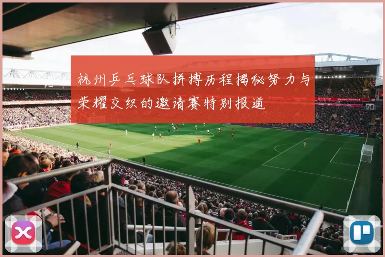 杭州乒乓球队拼搏历程揭秘努力与荣耀交织的邀请赛特别报道