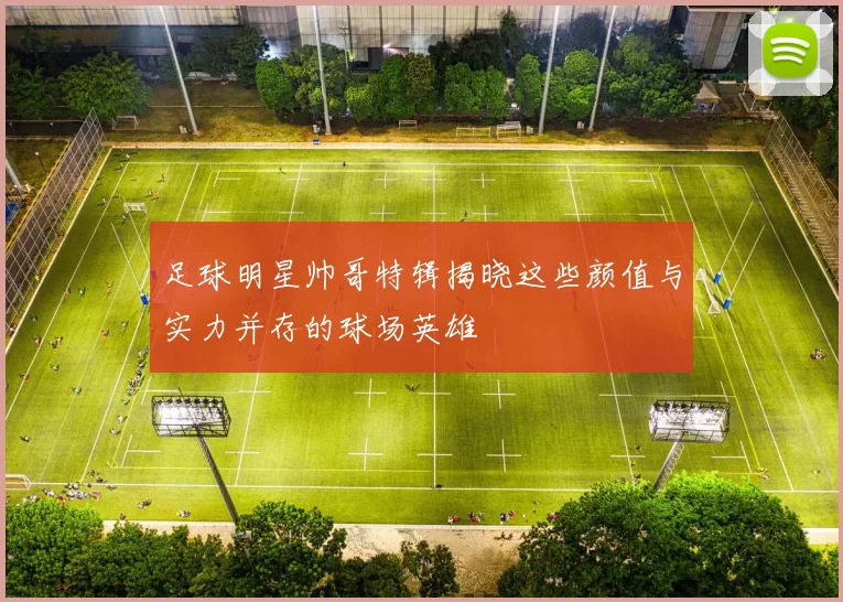 足球明星帅哥特辑揭晓这些颜值与实力并存的球场英雄