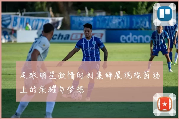 足球明星激情时刻集锦展现绿茵场上的荣耀与梦想