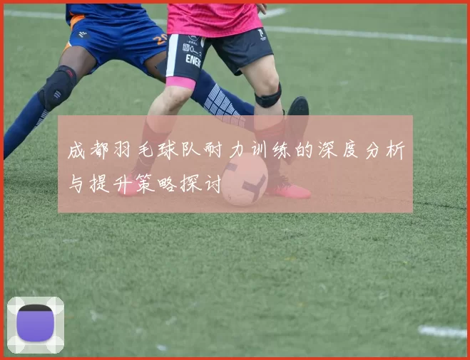 成都羽毛球队耐力训练的深度分析与提升策略探讨