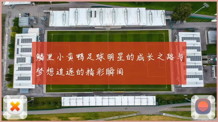 鳞里小黄鸭足球明星的成长之路与梦想追逐的精彩瞬间